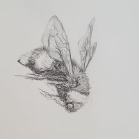 Biene    2012         8 x 9.jpg