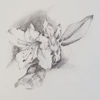 Blüte   2016         16 x 18.jpg