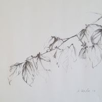 Herbstzweig   2016       21 x 30.jpg